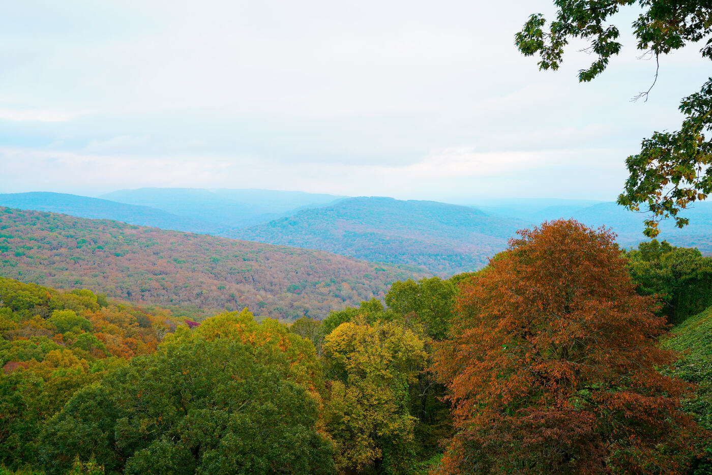 Placeholder tract photo