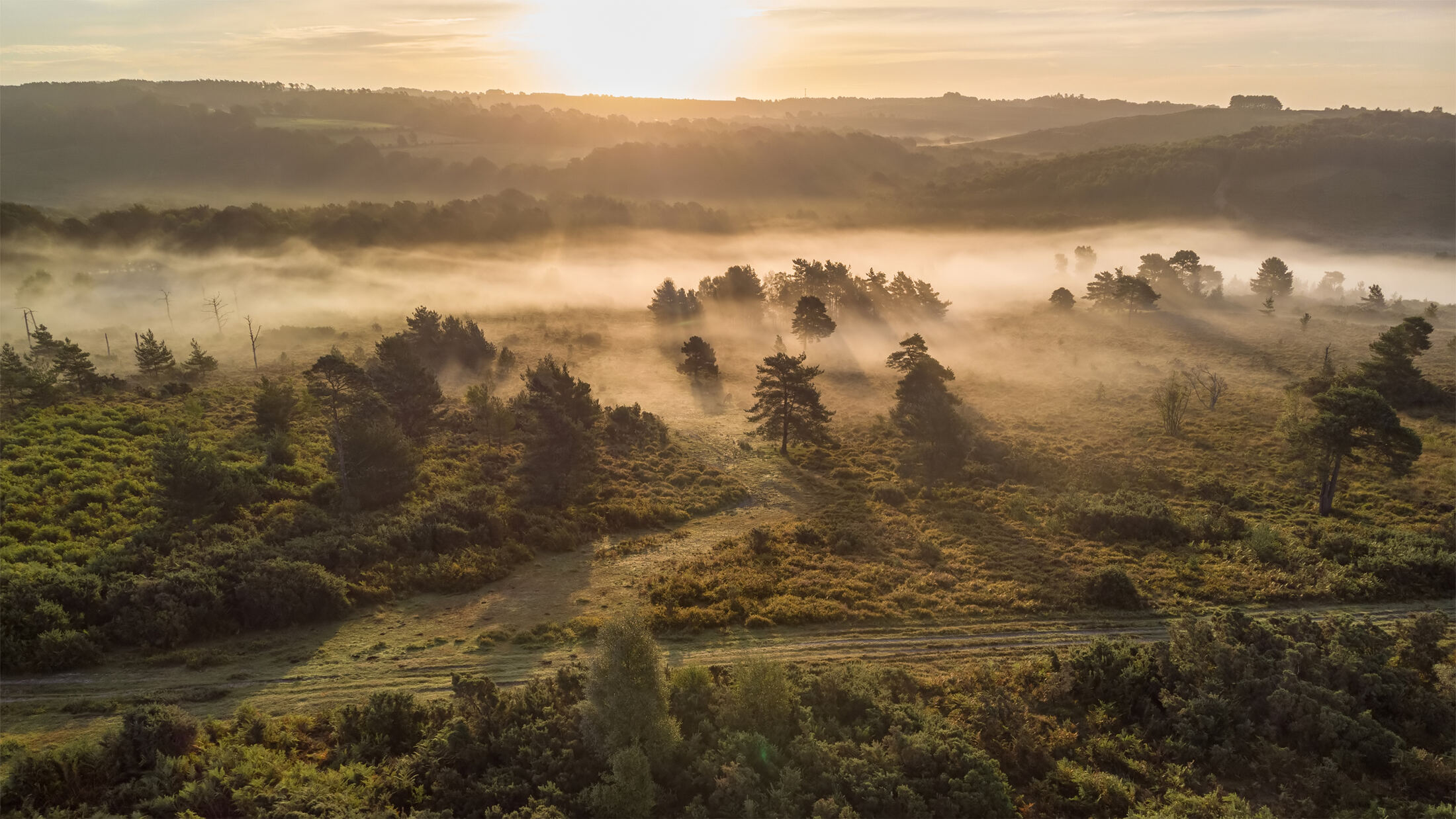 Rolling Arkansas timber and open ground at sunrise